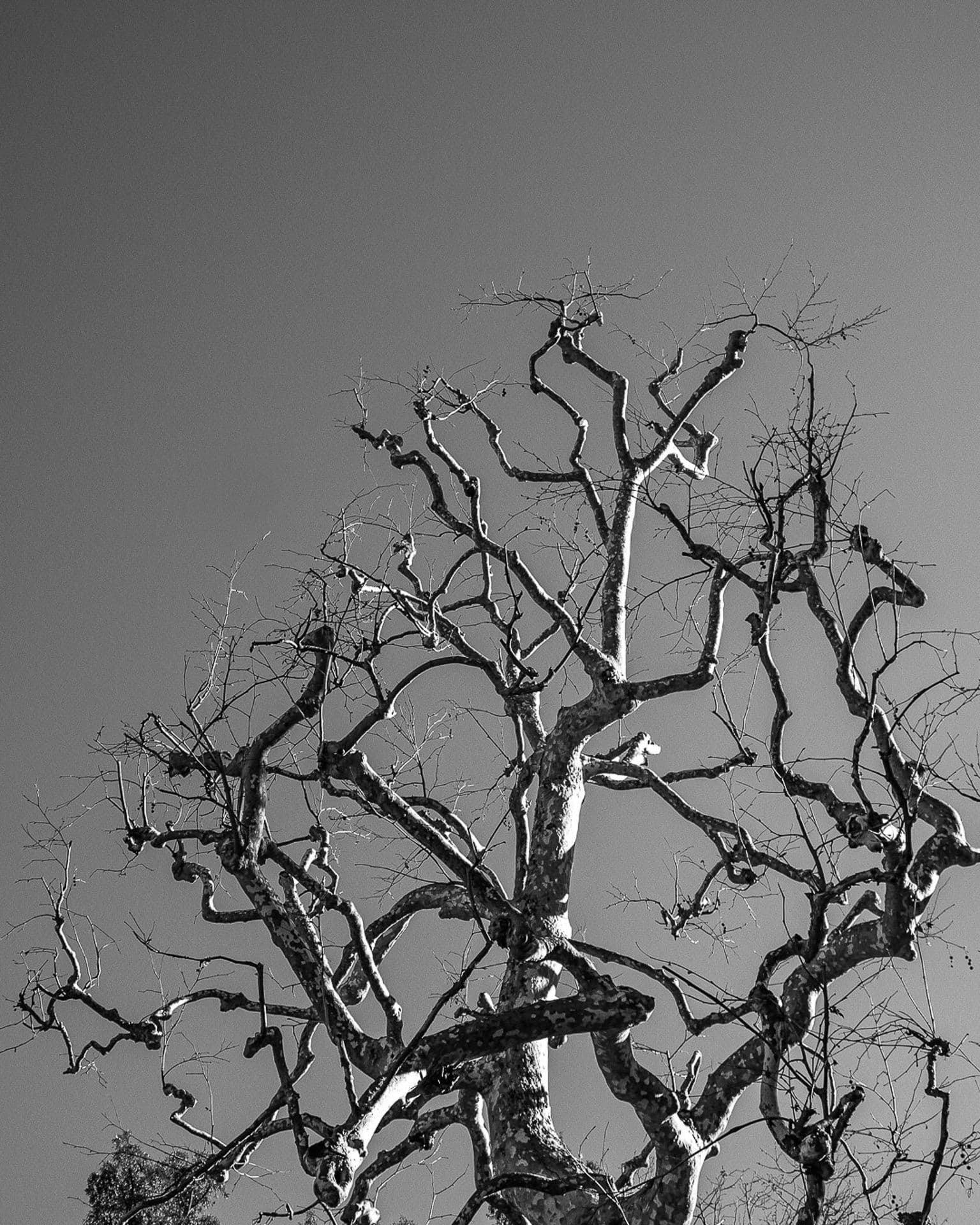 DSC03079.jpg