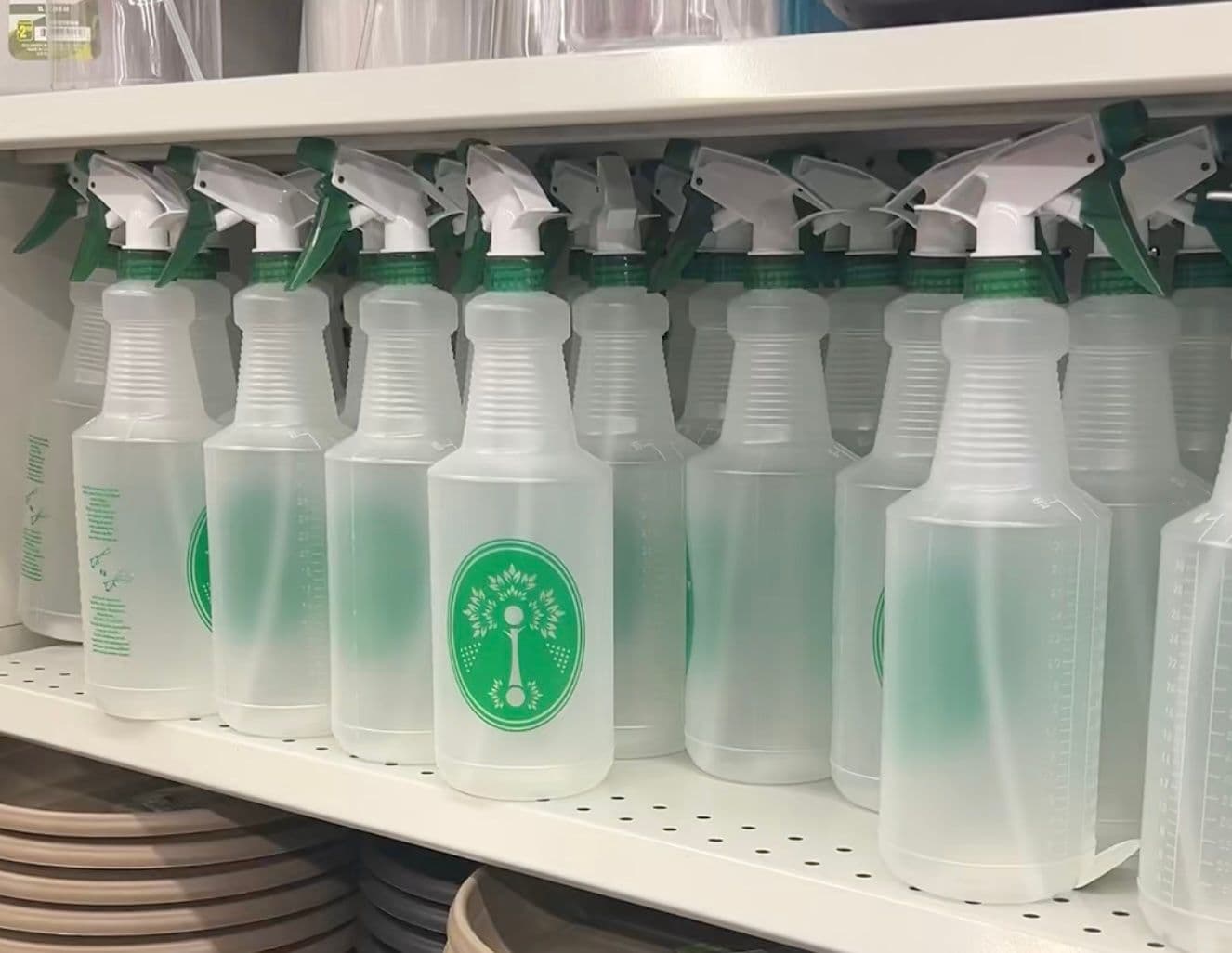 Dollar spray.jpg